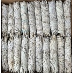 Sage Smudge Sticks 8in Californian Torch (100 Pcs) (Special Offer)